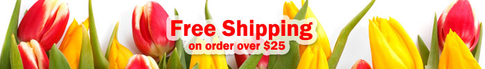 Free Shipping